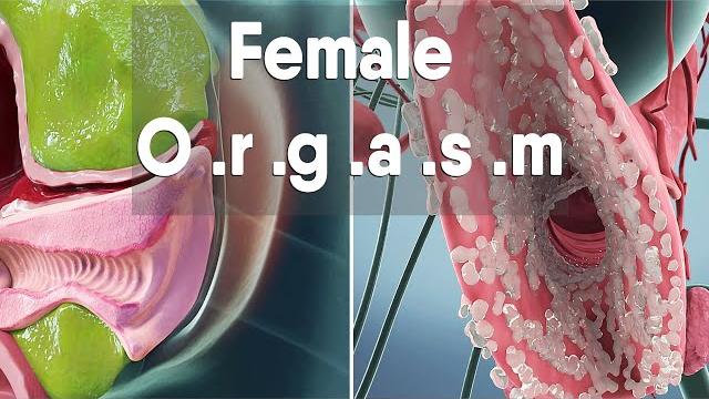 Female orgasm | female anatomy and biology Female orgasm | female anatomy and biology
