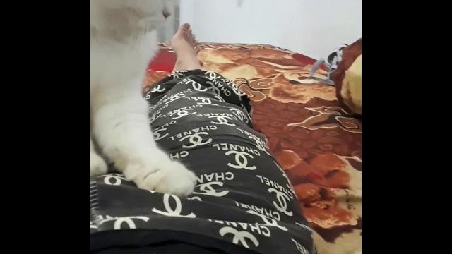 Tukang pijit sexy Tukang pijit sexy