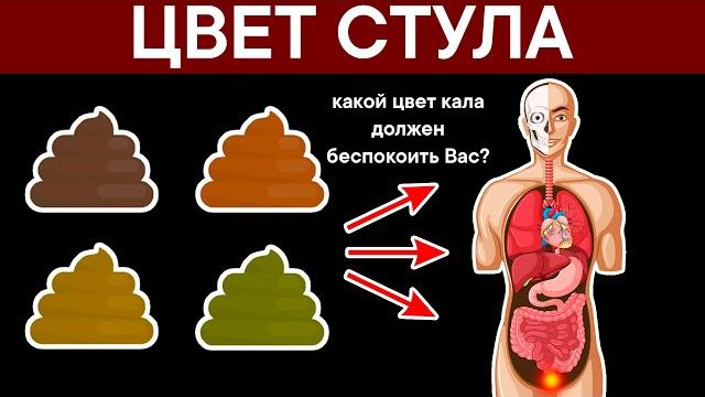 Цвет стула. какой цвет кала должен беспокоить вас? Цвет стула. какой цвет кала должен беспокоить вас?