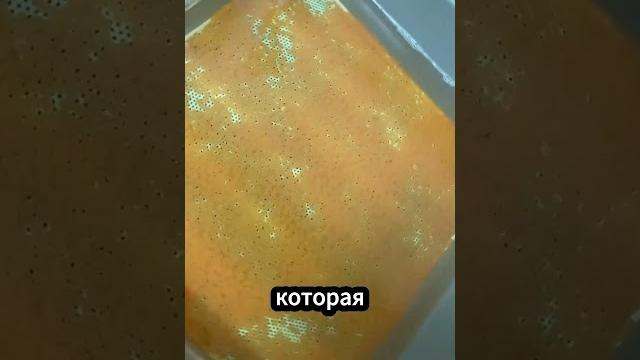 Искусственное разведение лосося – объяснение Искусственное разведение лосося – объяснение