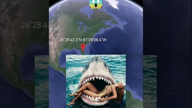 Huge sharkon google earth #shorts #googlemaps #googleearth #armkien Huge sharkon google earth #shorts #googlemaps #googleearth #armkien