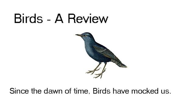 Birds - a review Birds - a review