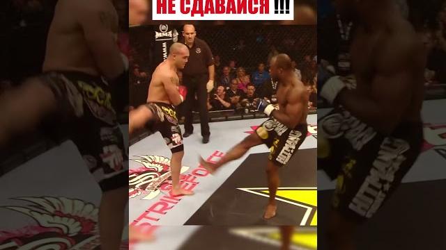 Никогда не сдавайся !!! #shorts Никогда не сдавайся !!! #shorts