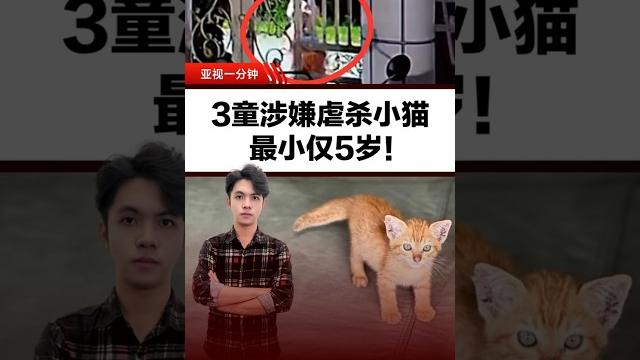3童涉嫌虐杀小猫 最小仅5岁! 3童涉嫌虐杀小猫 最小仅5岁!