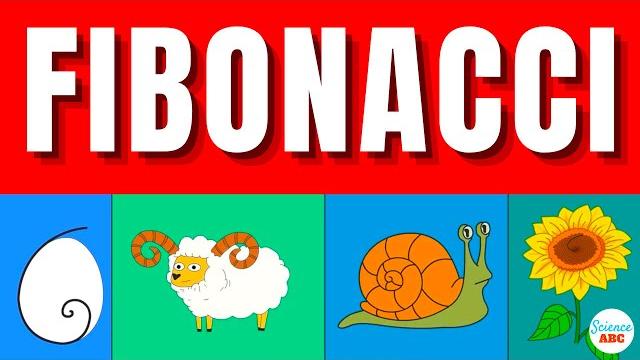 What is the fibonacci sequence & the golden ratio? simple explanation and examples in everyday life What is the fibonacci sequence & the golden ratio? simple explanation and examples in everyday life