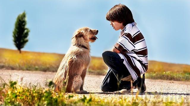 My bestie smitty | family drama | full movie My bestie smitty | family drama | full movie