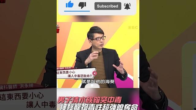 男子清水族箱突中毒 神秘寵物毒性超強險奪命?!【#醫師好辣】#shorts 男子清水族箱突中毒 神秘寵物毒性超強險奪命?!【#醫師好辣】#shorts