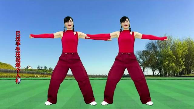 广场舞《已过半生》dj版,动感好看! 广场舞《已过半生》dj版,动感好看!
