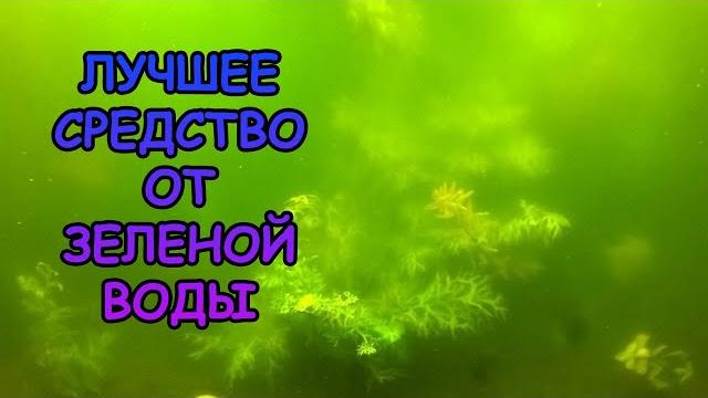 Лучшее средство от зеленой воды в аквариуме Лучшее средство от зеленой воды в аквариуме