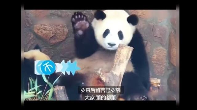 长清大学aj门和体育生事件火爆来袭,站起来蹬#shorts 长清大学aj门和体育生事件火爆来袭,站起来蹬#shorts
