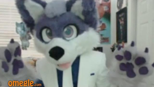 Packgod vs omegle furry Packgod vs omegle furry