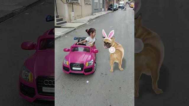 Köpusle araba suruyoz #müzik #tiktok #dans #şarkı #köpek Köpusle araba suruyoz #müzik #tiktok #dans #şarkı #köpek