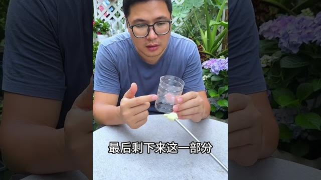 礦泉水瓶的養花妙用 #花卉綠植 #養花 #種植小技巧 礦泉水瓶的養花妙用 #花卉綠植 #養花 #種植小技巧