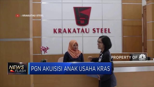 Pgn bakal akuisisi anak usaha krakatau steel Pgn bakal akuisisi anak usaha krakatau steel
