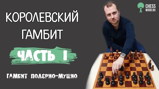 Королевский гамбит. гамбит полерио-муцио. часть i. Королевский гамбит. гамбит полерио-муцио. часть i.