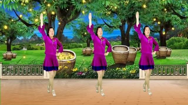 廣場舞精選《紅棗樹》懷舊歌曲優美動聽,舞姿柔美醉人【紅豆廣場舞】 廣場舞精選《紅棗樹》懷舊歌曲優美動聽,舞姿柔美醉人【紅豆廣場舞】
