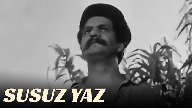 Düşmanlığın böylesi | susuz yaz Düşmanlığın böylesi | susuz yaz