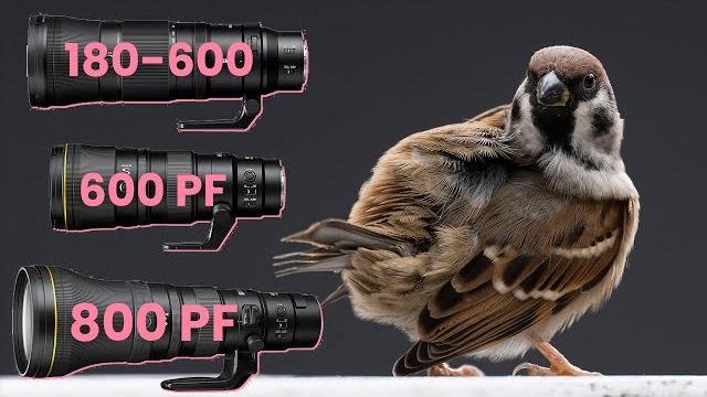 Nikon 180-600 vs 600 pf vs 800 pf Nikon 180-600 vs 600 pf vs 800 pf
