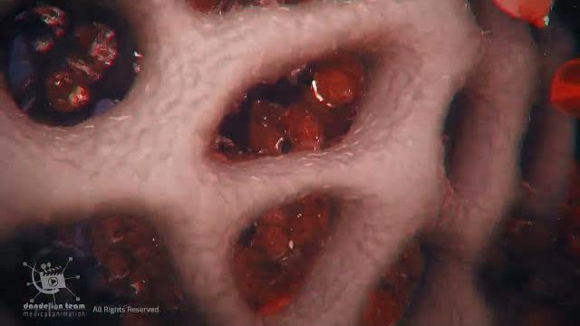 Physiology of o.r.g.a.s.m in male-3d male body and biology Physiology of o.r.g.a.s.m in male-3d male body and biology