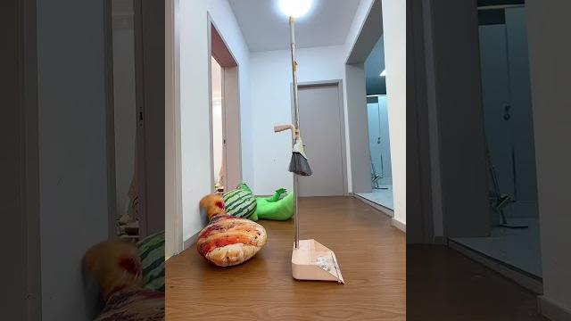#节奏盒子#家庭#搞笑#可爱 #节奏盒子#家庭#搞笑#可爱