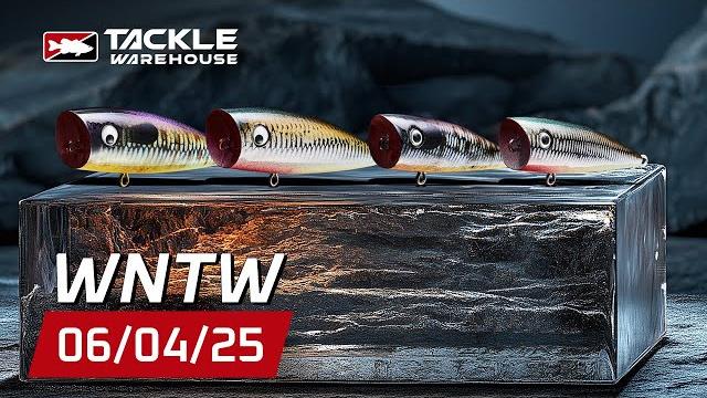 Exciting new products at tackle warehouse! hand-painted rico poppers, 6th sense strobe shaker & more Exciting new products at tackle warehouse! hand-painted rico poppers, 6th sense strobe shaker & more