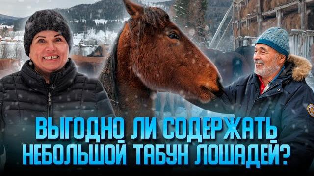 Выгодно ли содержать небольшой табун лошадей? Выгодно ли содержать небольшой табун лошадей?