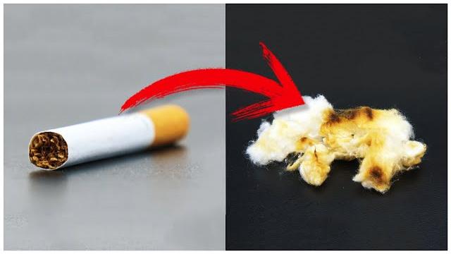 This is what happens in your lungs when you smoke a cigarette This is what happens in your lungs when you smoke a cigarette