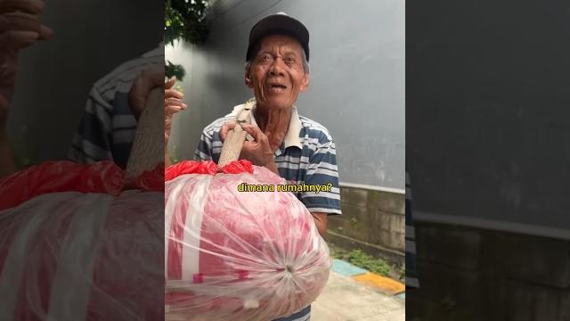Borong bantal guling kapuk pak atam yang berusia 80th. Borong bantal guling kapuk pak atam yang berusia 80th.