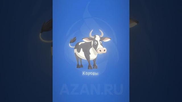 Курбан байрам - правила жертвоприношения | azan.ru #курбан #ислам #курбанбайрам #жертвоприношение Курбан байрам - правила жертвоприношения | azan.ru #курбан #ислам #курбанбайрам #жертвоприношение