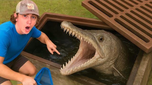 I found a sewer full of rare fish! I found a sewer full of rare fish!