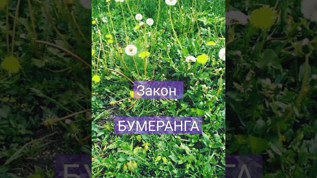 #гармония #душа #счастье #любовь #позитив #гармония #душа #счастье #любовь #позитив