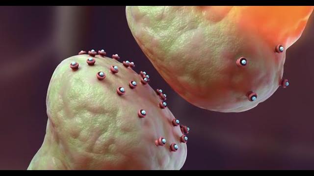 Drug addiction: how opioids like fentanyl work Drug addiction: how opioids like fentanyl work