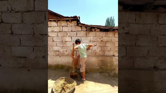 Хуфар Хуфар
