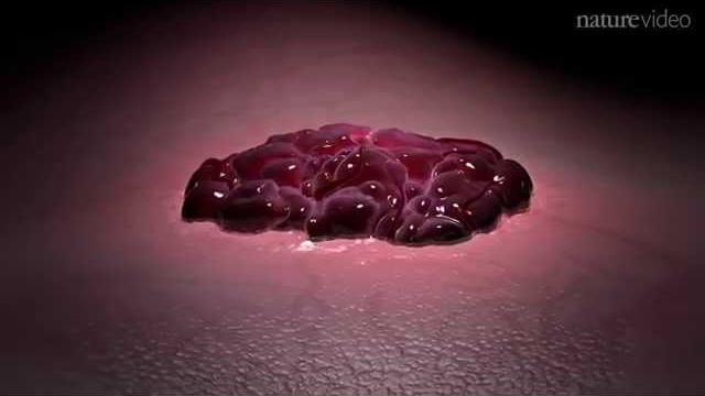 Targeting cancer cell metabolism Targeting cancer cell metabolism