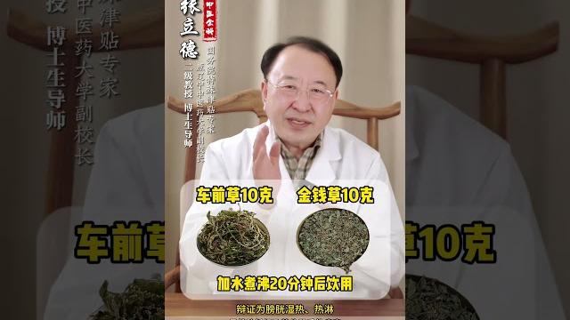 尿急憋不住 两根小草煮水喝 #尿急 #热淋 #湿热下注 #中医 #医学科普 尿急憋不住 两根小草煮水喝 #尿急 #热淋 #湿热下注 #中医 #医学科普