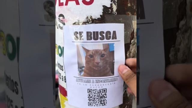 #cochabamba_bolivia #cochabamba_bolivia