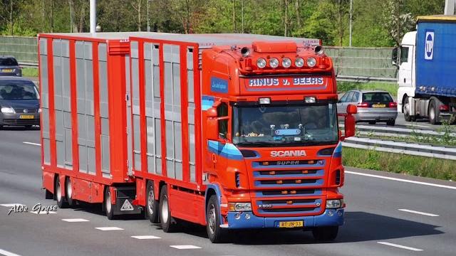 Rinus van beers Rinus van beers