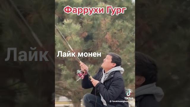 Фарухи гург Фарухи гург