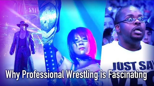Professional wrestling is stupid and beautiful and i love it Professional wrestling is stupid and beautiful and i love it