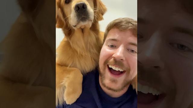 World’s smartest dog World’s smartest dog