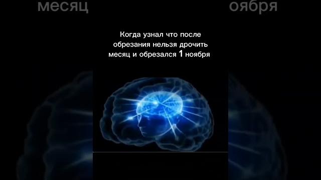 Мем новый Мем новый