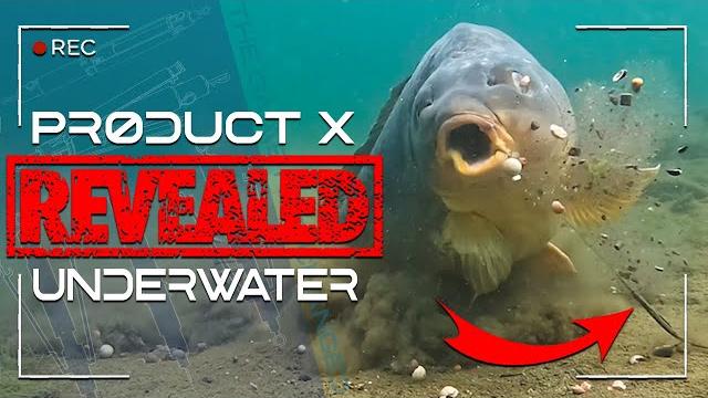 Product x revealed underwater | the magic twig | carp fishing | ali hamidi | one more cast Product x revealed underwater | the magic twig | carp fishing | ali hamidi | one more cast