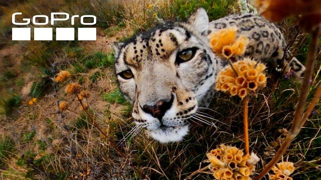 Top 10 gopro max moments | best of 360 Top 10 gopro max moments | best of 360