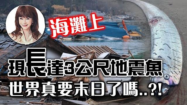 海灘上現長達3公尺地震魚,世界真要末日了嗎‥?!【林海陽】_20250606 海灘上現長達3公尺地震魚,世界真要末日了嗎‥?!【林海陽】_20250606