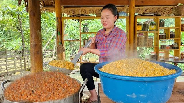 How to ferment corn and preserve it for 360 days - harvest peanuts to sell at the market. How to ferment corn and preserve it for 360 days - harvest peanuts to sell at the market.