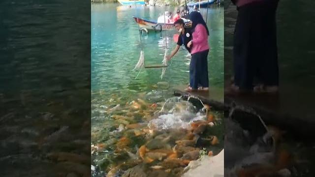 Wisata alam telaga biru cicerem kuningan jernih banget guys #viral #holiday #liburan #wisata #alam Wisata alam telaga biru cicerem kuningan jernih banget guys #viral #holiday #liburan #wisata #alam
