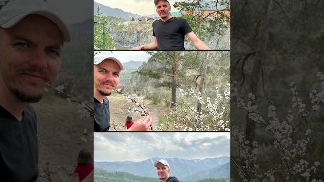 Алтай красив в мае Алтай красив в мае
