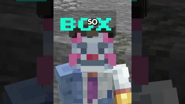 The first minecraft box smp The first minecraft box smp