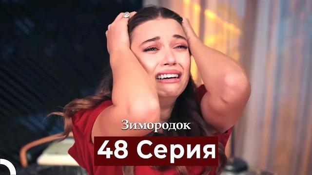 Зимородок 48 cерия (русский дубляж) Зимородок 48 cерия (русский дубляж)