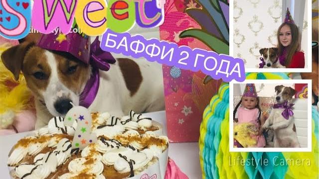 Празднуем день рождения баффи баффи 2 года!!! Празднуем день рождения баффи баффи 2 года!!!